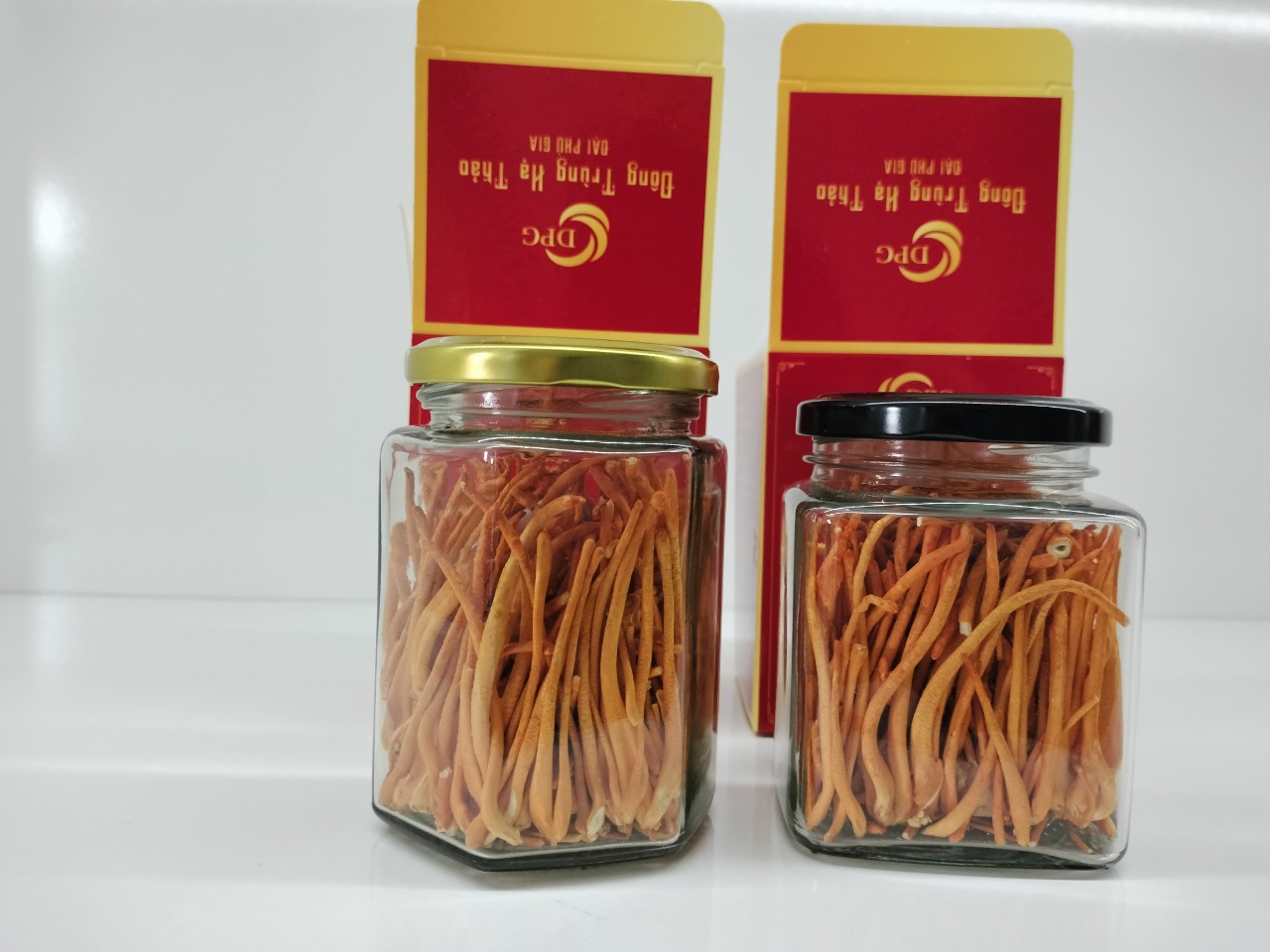 Đông trùng hạ thảo sấy khô 2 hủ (10g/hủ)